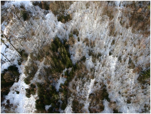 w-073.jpg
