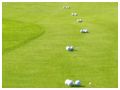 golf-186.jpg