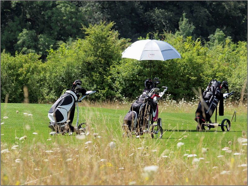 golf-054.jpg